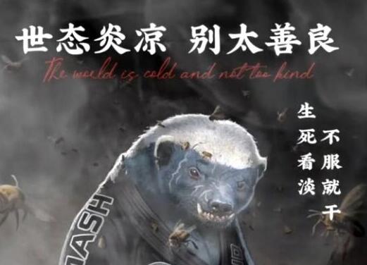 世态炎凉别太善良平头哥图片大全