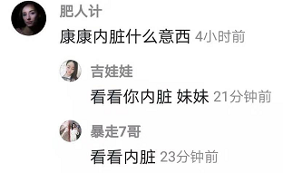 康康内脏意思介绍