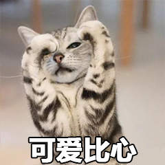 猫咪比心表情包大全