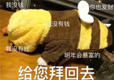 给您拜回去表情包大全
