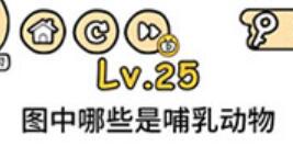 脑洞大大大第25关通关攻略