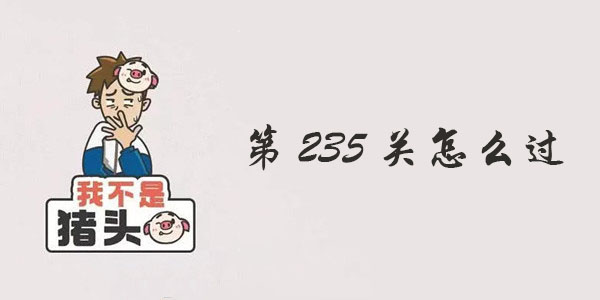 我不是猪头第235关攻略