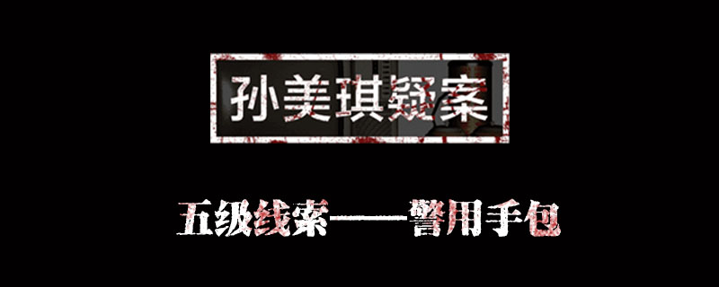 孙美琪疑案金凤凰线索警用手包位置介绍