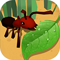 蚂蚁3d进化最新版