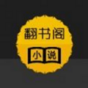 翻书阁小说正版