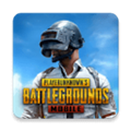 pubg测试服