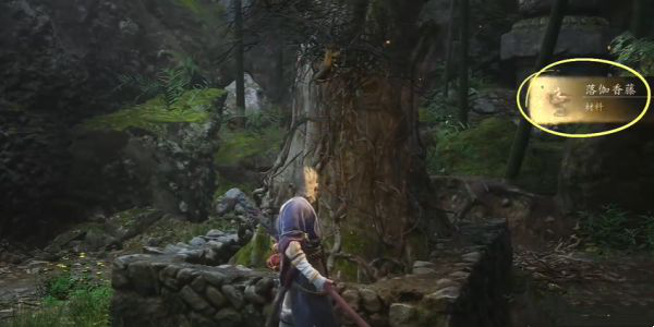 黑神话悟空落伽香藤怎么获取